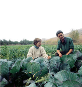 Twenty Years of Green Dining Image
